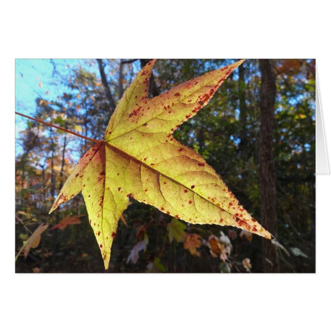 Glühendes Süße-Leaf im Wald (Vorderseite (Horizontal))