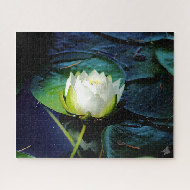 Glühweißer Lotus (Horizontal)