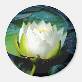 Glühweißer Lotus Magnet