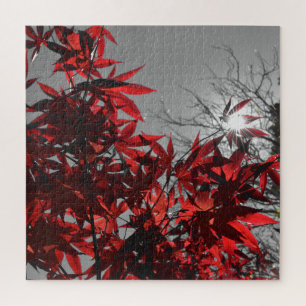Glut des Herbstes