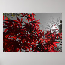 Glut des Herbstes