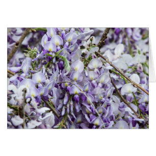Glycine