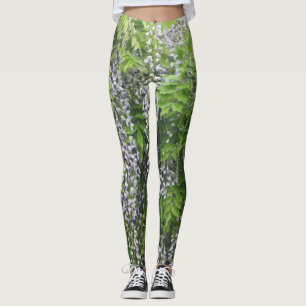 Glycines Legging