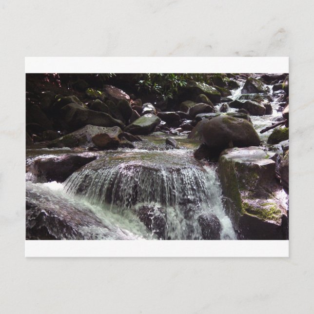 Glyphosat-Free Tennessee Weihnachtskarte Postkarte (Vorderseite)