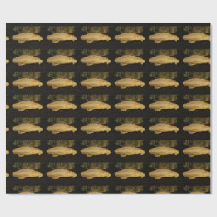 Glyptoperichthys gibbiceps geschenkpapier