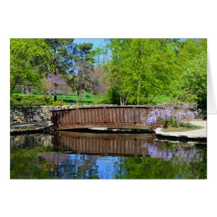 Glyzinien in der Blüte im losen Park, Kansas City