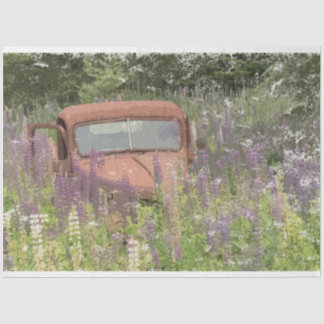 GMC in Lupines Dekopapier Seidenpapier