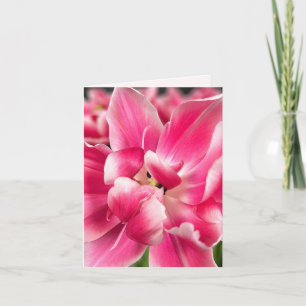 Gnade in jeder Jahreszeit Rosa Tulpen-Faltgrußka Karte