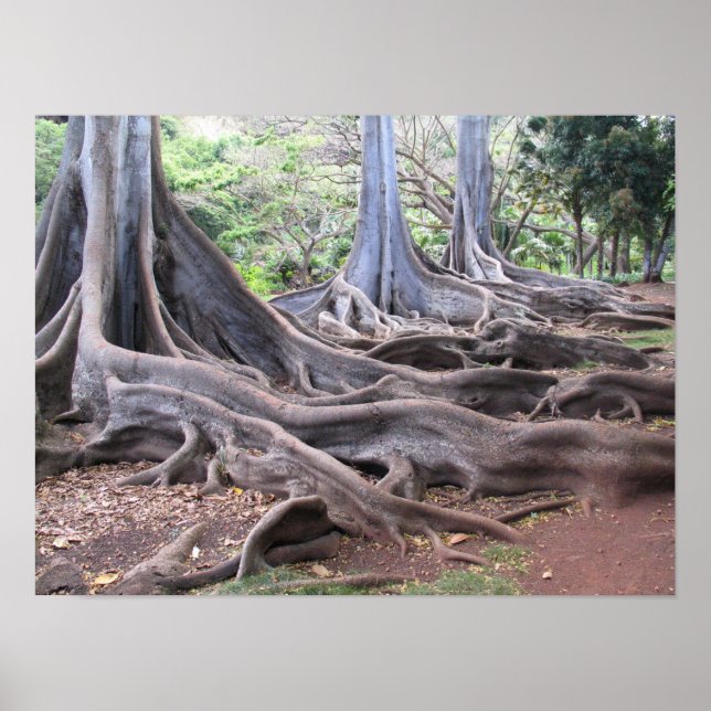 Gnalstrom Poster (Vorne)