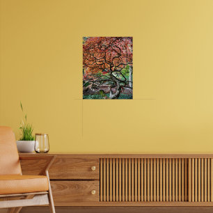 Gnarly Twisted Japanisches Ahornbaum-Foto Poster