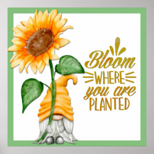 Gnome Blütenblüte, wo Sie gepflanzt werden Poster