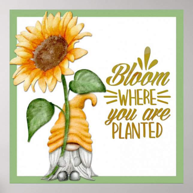 Gnome Blütenblüte, wo Sie gepflanzt werden Poster (Vorne)