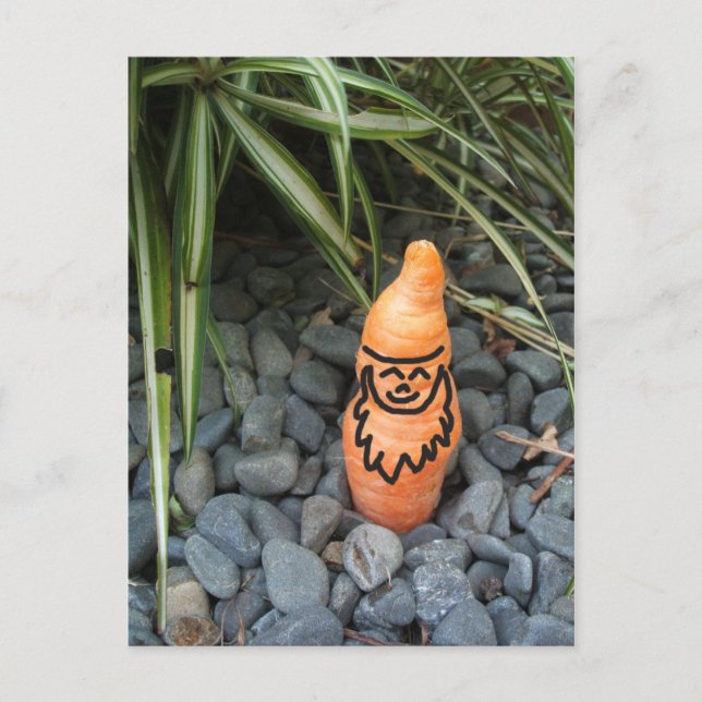 Gnome Carrot Postcard Postkarte (Vorderseite)