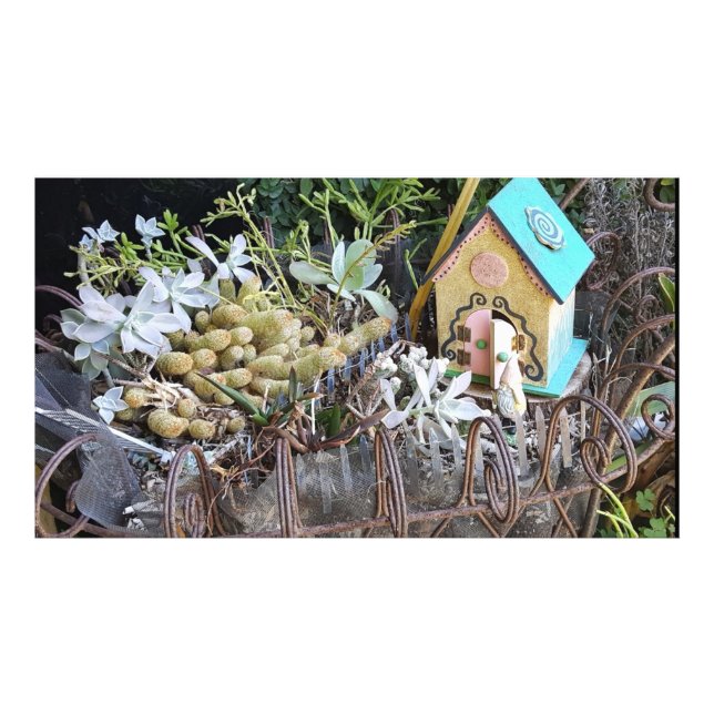 Gnome Home Woods Imaginaire Photographie personnal (Devant)