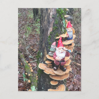 Gnome und die Putenpilze Schwanz Postkarte