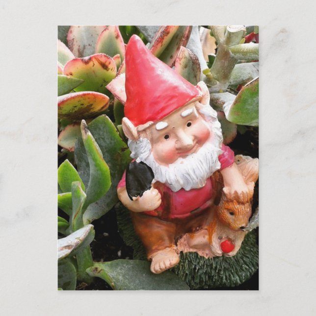 Gnome verstecken sich in den Sukkulenten Postkarte (Vorderseite)