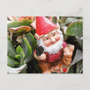 Gnome verstecken sich in den Sukkulenten Postkarte