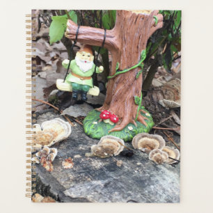 Gnomes des bois