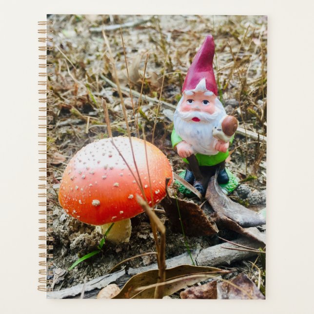 Gnomes des bois (Devant)