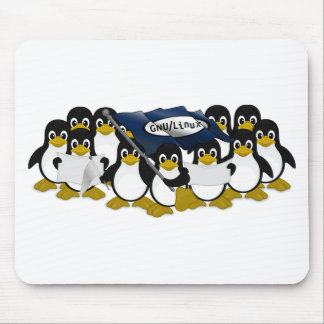 GNU/Linux Mousepad