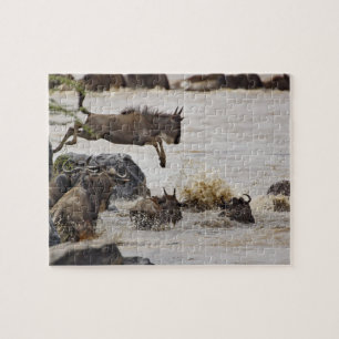 Gnu springt in den Mara-Fluss