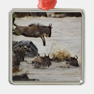 Gnu springt in den Mara-Fluss Silbernes Ornament