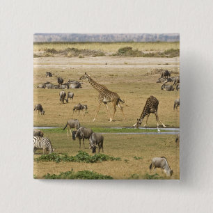 Gnus, Zebras und Giraffen Button