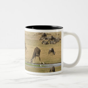 Gnus, Zebras und Giraffen Zweifarbige Tasse