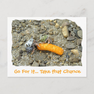 Go For It. Take that Chance Postkarte