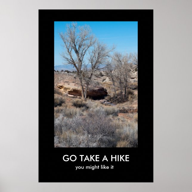 GO NEHMEN EIN HIKE-Demo-Poster Poster (Vorne)