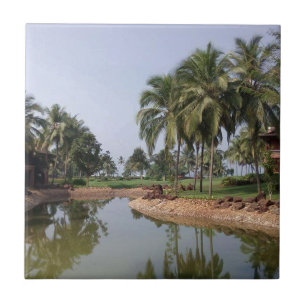Goa India Fliese