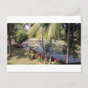 Goa India Garden Postkarte