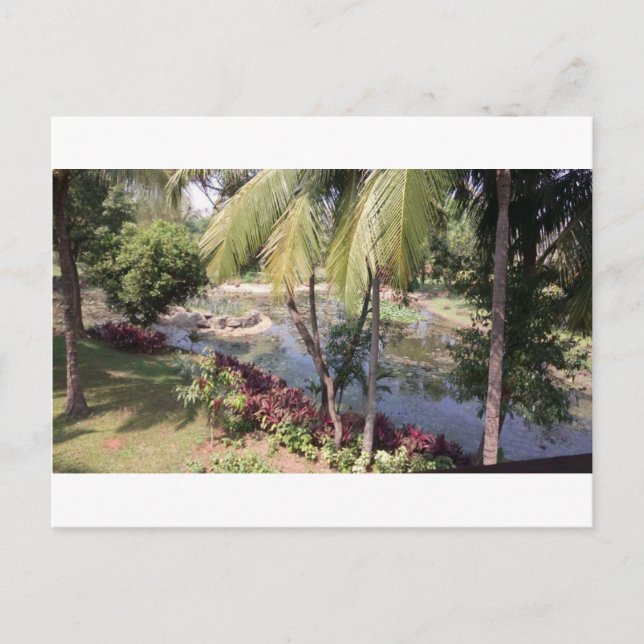 Goa India Garden Postkarte (Vorderseite)