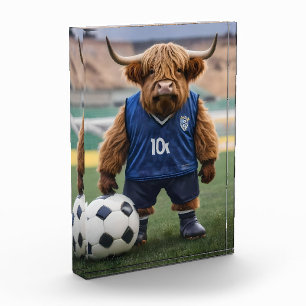 "Goal-Getter: Eine Hochlandkuh für Fußball verklei Fotoblock