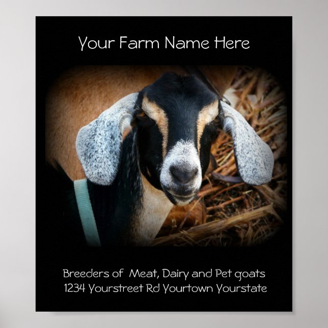 Goat Breeder Business Poster (Vorne)