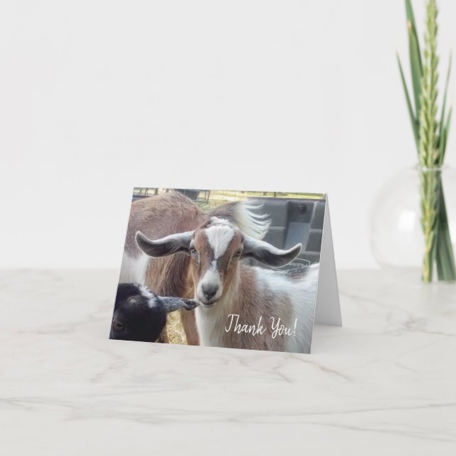 Goat danke Ihrer Karte (Vorderseite)