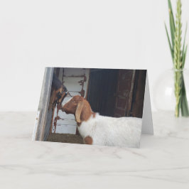 Goat Kisses Personalisiert Greeting Karte