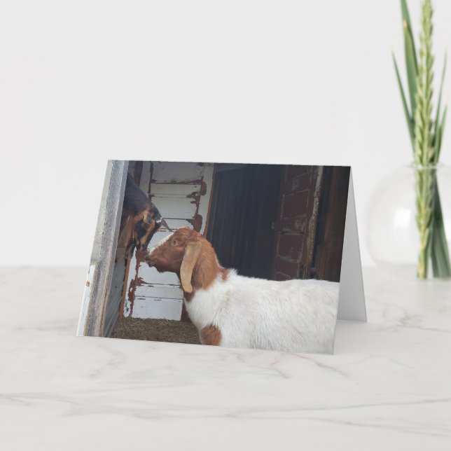 Goat Kisses Personalisiert Greeting Karte (Vorderseite)