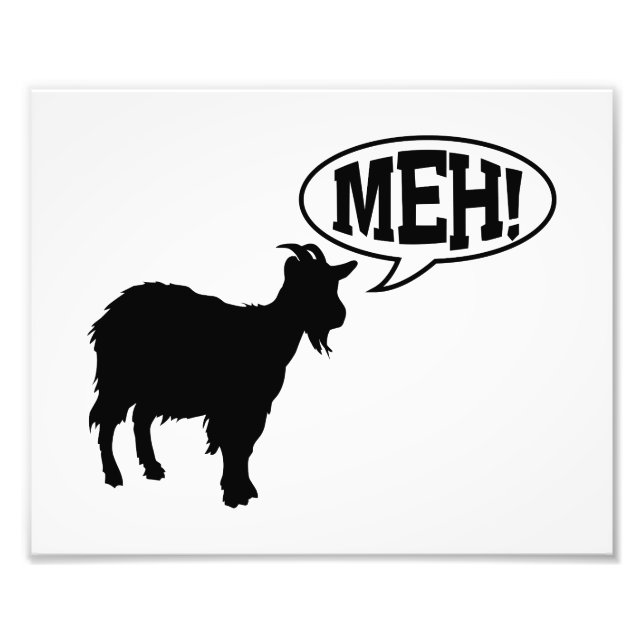 Goat Meh Fotodruck (Vorne)