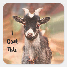Goat Niedlich Funny Ich habe das hier