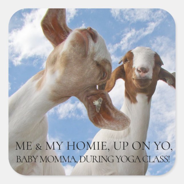 Goat Yoga Wise Cracks Quadratischer Aufkleber (Vorderseite)