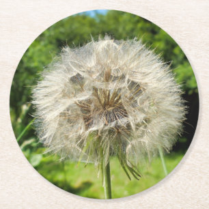 Goatsbeard-Wildblume Runder Pappuntersetzer