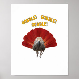 Gobble! Türkischer Erntedank Afrikanischer Grauer  Poster