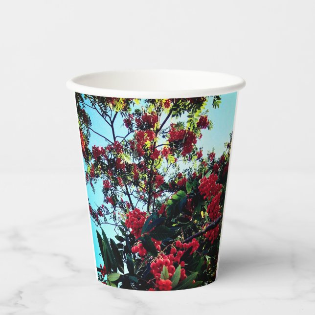 Gobelets En Papier Baies rouges (Recto)