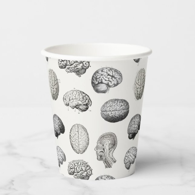 Gobelets En Papier Brain Anatomy Biology Illustrations (Recto)