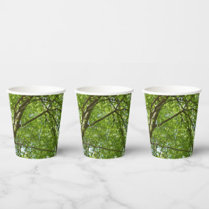 Gobelets En Papier Canopée du printemps Feuille Green Nature Scene