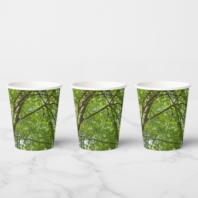 Gobelets En Papier Canopée du printemps Feuille Green Nature Scene (Multi)