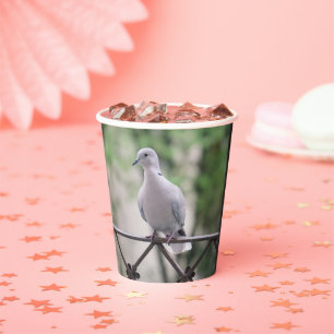 Gobelets En Papier Colombe blanche mignonne Pigeon Symbole d'amour et