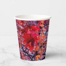 Gobelets En Papier Feuilles rouge vif