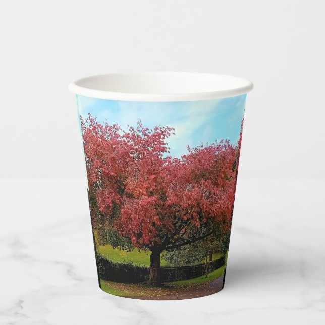 Gobelets En Papier Feuilles rouges (Recto)